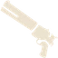 Loadouts