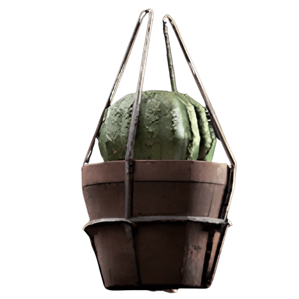Succulent (Backpack Charm)