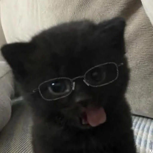 glowinnadark#5222's avatar