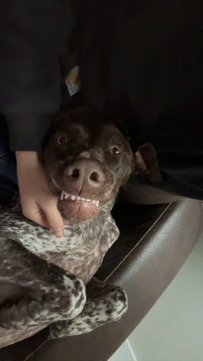 HRYBEAVER#3030's avatar