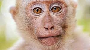 THENEIN#0467's avatar