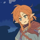 Link05