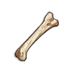 Animal Bone