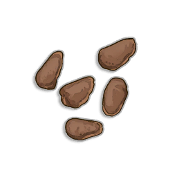 Potato seeds