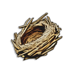 Bird Nest