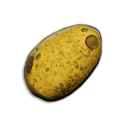 Potato