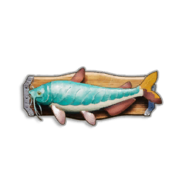 Pristine Armoured Catfish Trophy