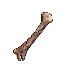 Undead Bone