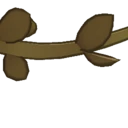 Ancient Thyme Petal