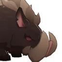 Boar Burnham