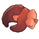 Fleshy Claw