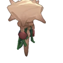 Vile Imp
