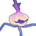 Fragrant Garlic Seedling
