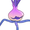 Controversial Onion Seedling