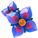 Ipheion, Star Blossom