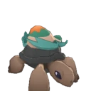Aqua Tortrock