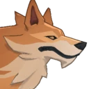 Coyote