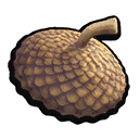 Acorn Top icon