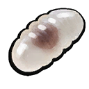Red Ant Egg