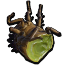 Antlion Part