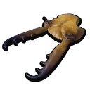 Antlion Pincer
