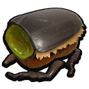 Black Ox Part