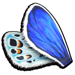 Blue Butterfly Wing
