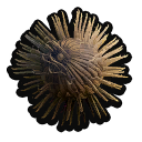 Spiky Bur