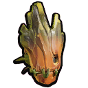 Acorn Face Mask