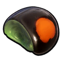 Ladybird Shell