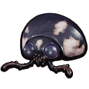 Ladybug Head