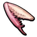 Orchid Mantis Claw