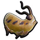 Aphid Roast