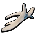 Toenail