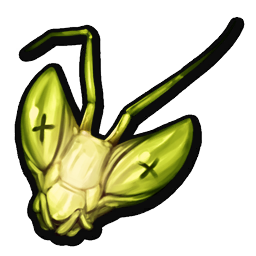 Praying Mantis Head