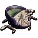 Roly Poly Part