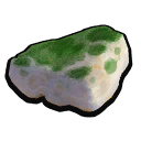 Rotten Food
