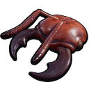 Red Ant Mandibles