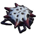 Broodmother Trinket