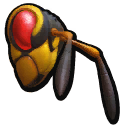 Wasp Queen Head