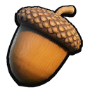 Acorn