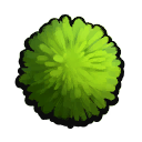 Algae icon