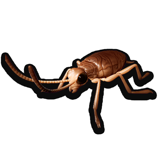 Cockroach Nymph icon