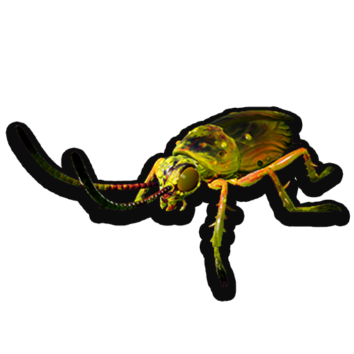 Cockroach Queen icon