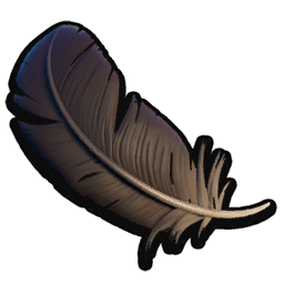 Crow Tail Feather