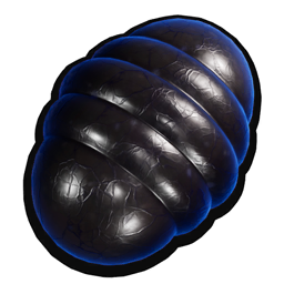 Black Soldier Ant Egg