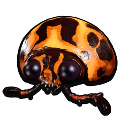 Potato Beetle Head icon