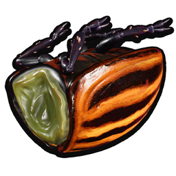 Potato Beetle Shell icon