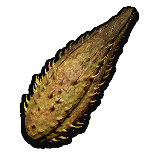 Milkweed Pod