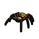 Orb Weaver Jr. icon